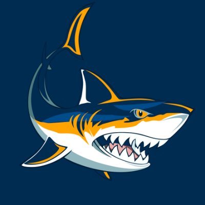 Shark Protocol Logo